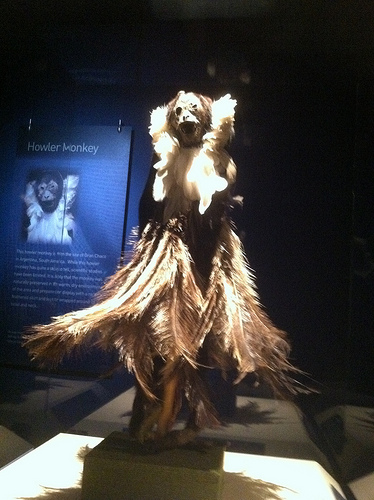 howlermonkey